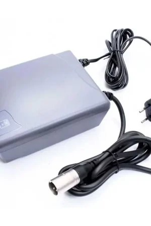 Bestseller Accu lader GEBRUIKT Batavus / Koga / Sparta 24V PMU2 NiMH Ion / Padova / Tesla