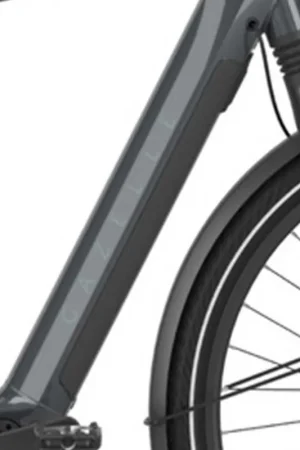 Accu cover Gazelle Shimano Tube Chamonix HMS 2021 - 998614400 Must-Have