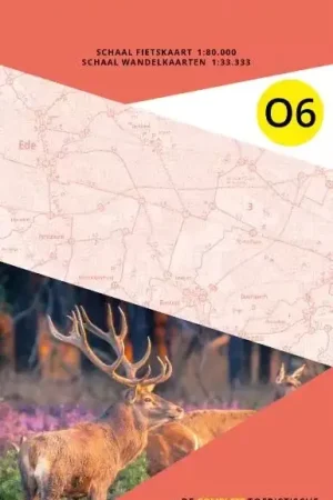 ANWB ANWB Fiets en wandelknooppuntenkaart O6 Veluwe zuid Alleen Vandaag