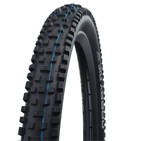 Express Levering Schwalbe Nobby Nic Evo Addix Speedgrip 29 Inch Mtb Band - Zwart