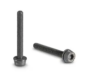 Campagnolo Bouten voor Schijfremklauw Achter 2 stuks Exclusieve Aanbieding